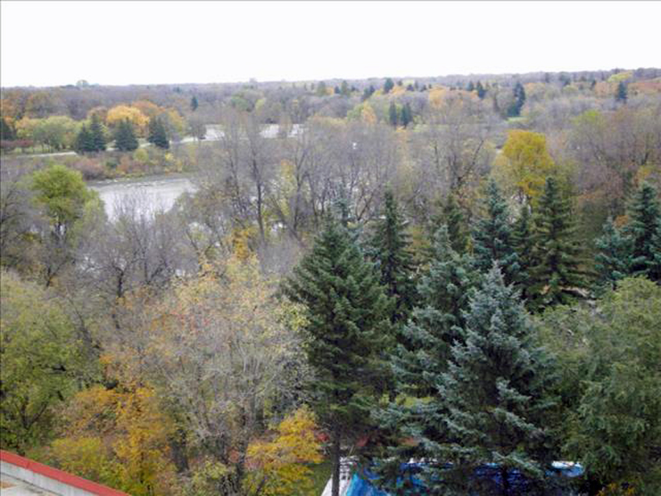 How about this for a condo view? Click Image of Call (204) 792-6453. 